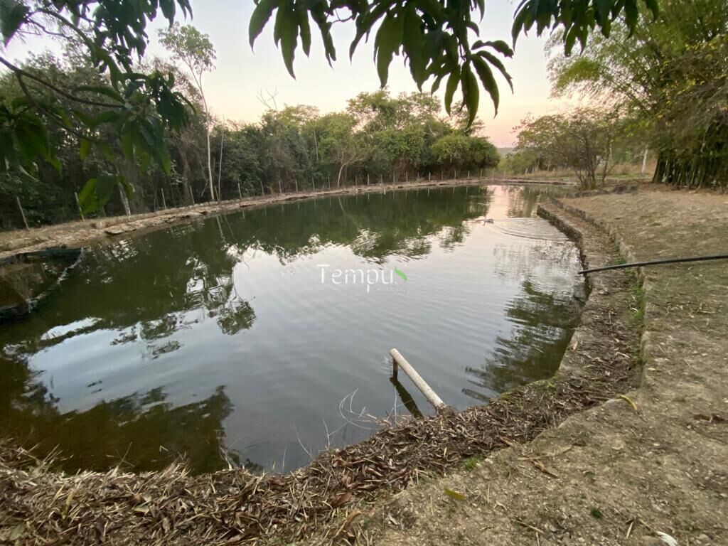 Fazenda à venda com 4 quartos, 1750700m² - Foto 1