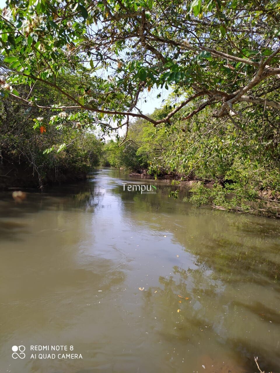 Fazenda à venda com 4 quartos, 1750700m² - Foto 15