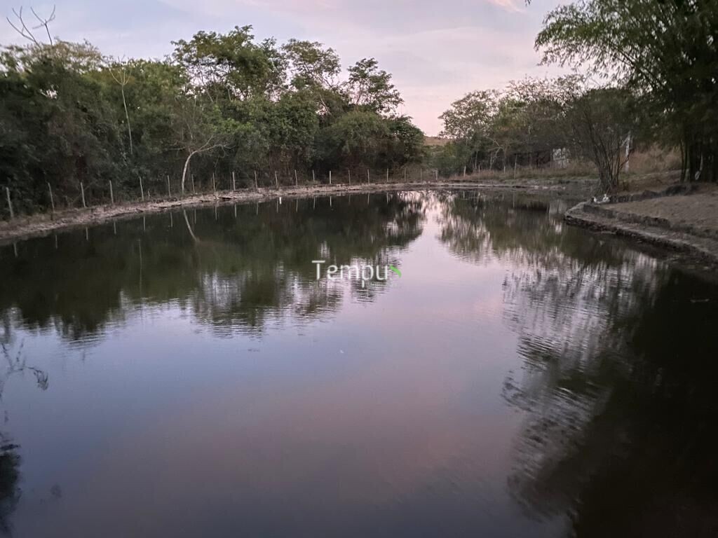 Fazenda à venda com 4 quartos, 1750700m² - Foto 3