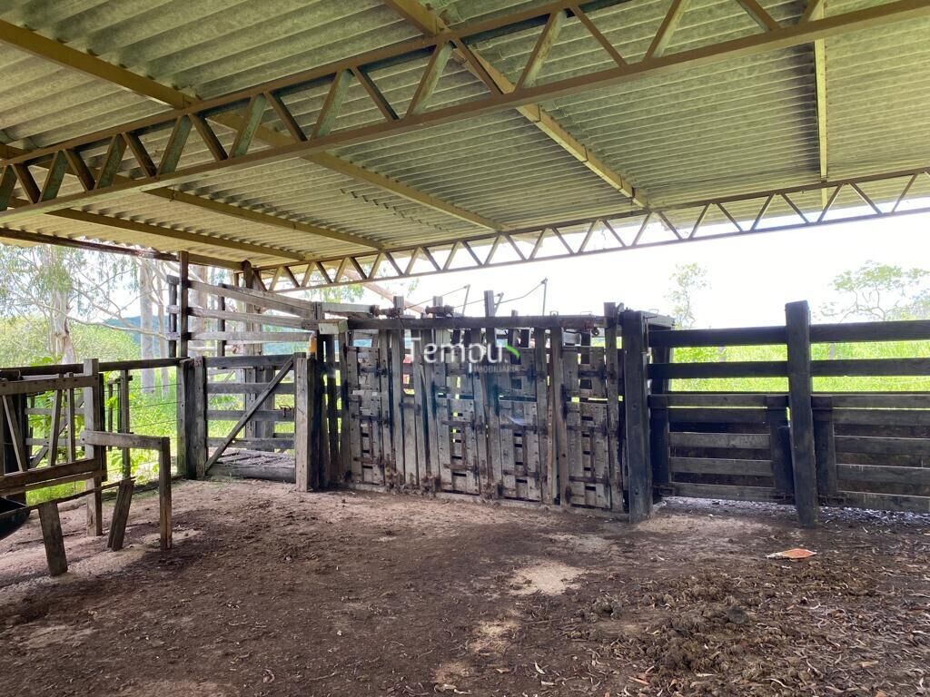 Fazenda à venda com 4 quartos, 1750700m² - Foto 20