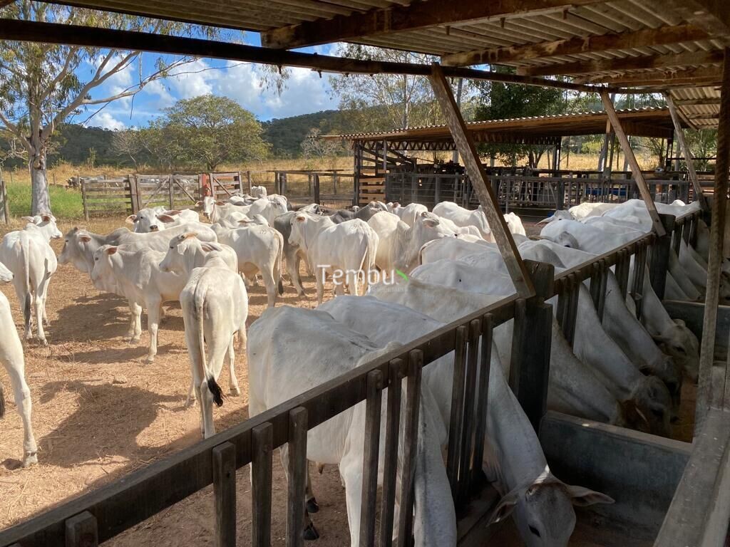 Fazenda à venda com 4 quartos, 1750700m² - Foto 19