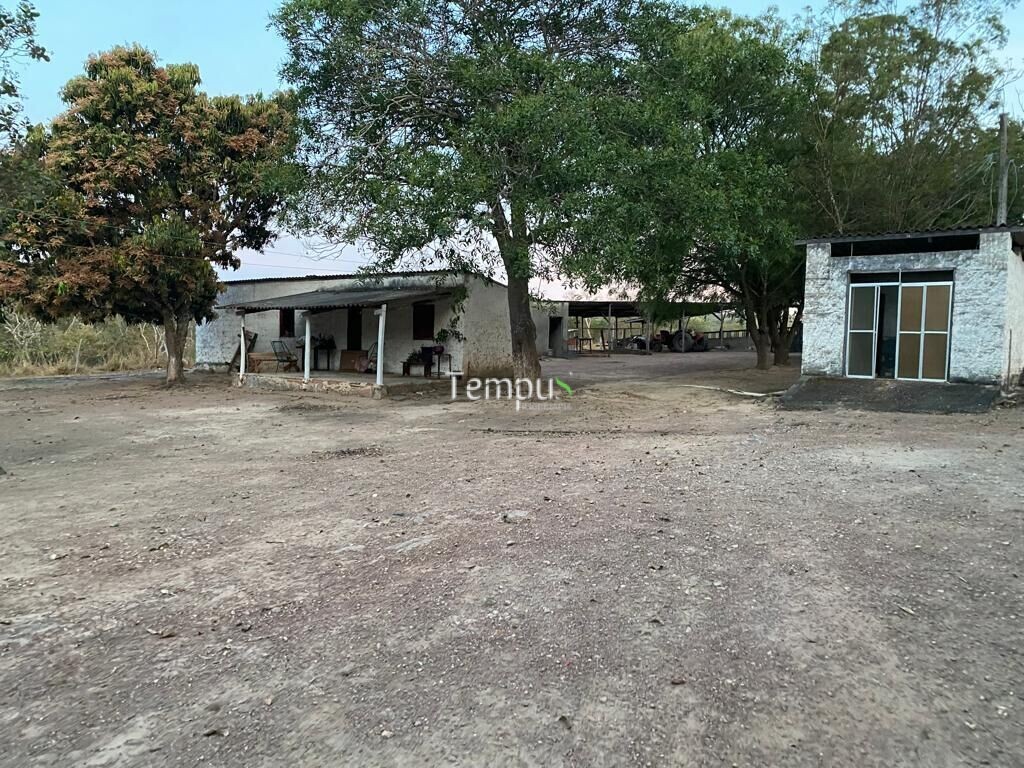 Fazenda à venda com 4 quartos, 1750700m² - Foto 13