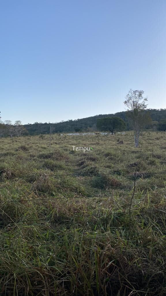 Fazenda à venda com 4 quartos, 1750700m² - Foto 22