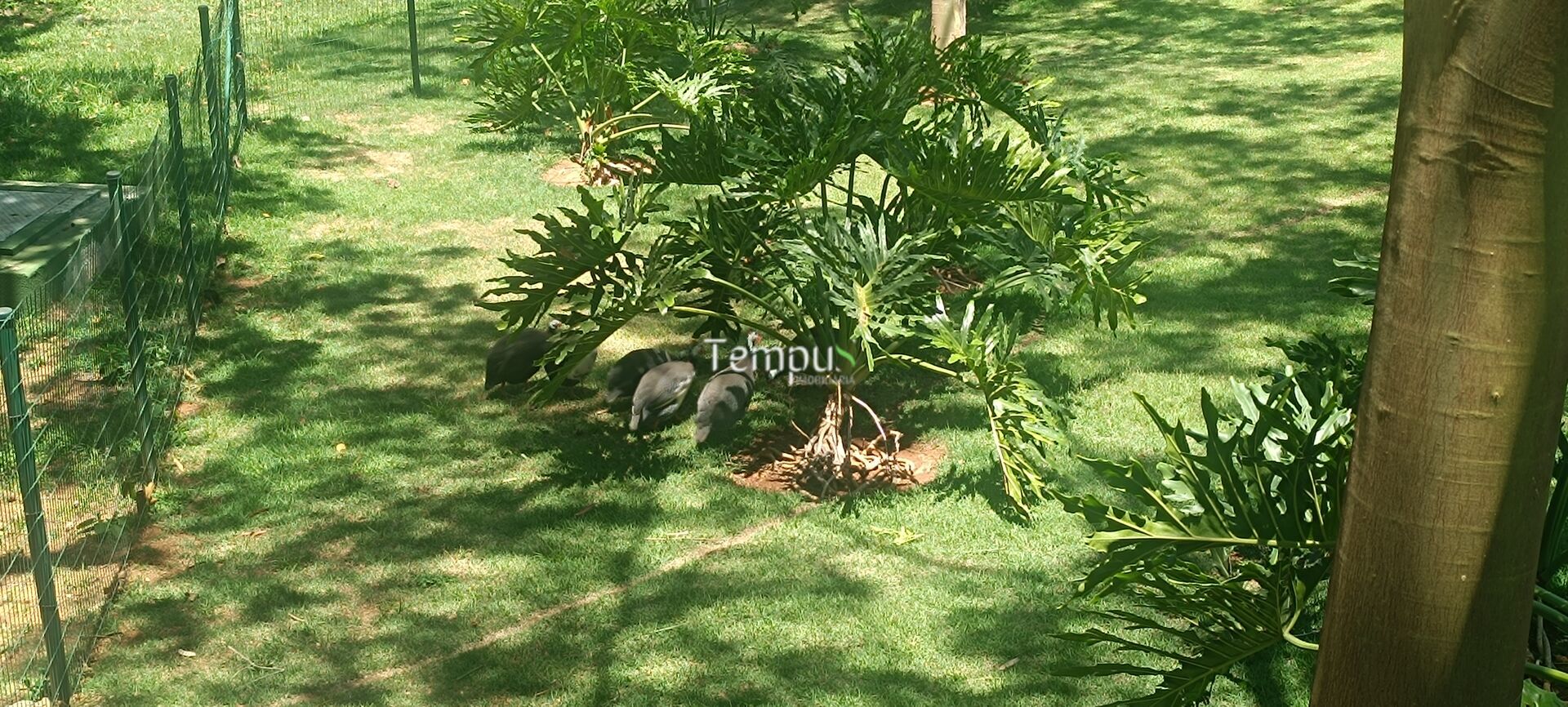 Terreno, 360 m² - Foto 23