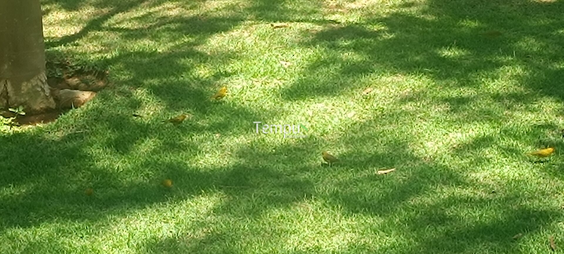 Terreno, 360 m² - Foto 24