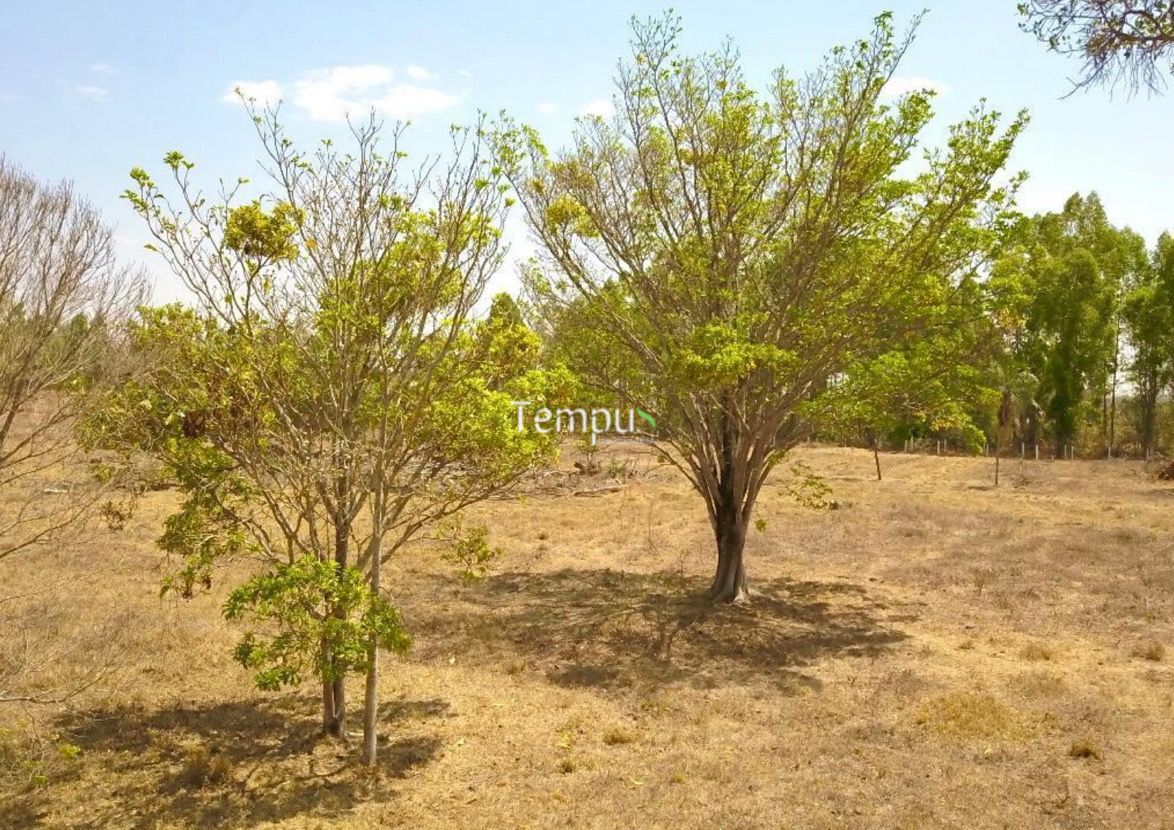Chácara à venda, 27500m² - Foto 6
