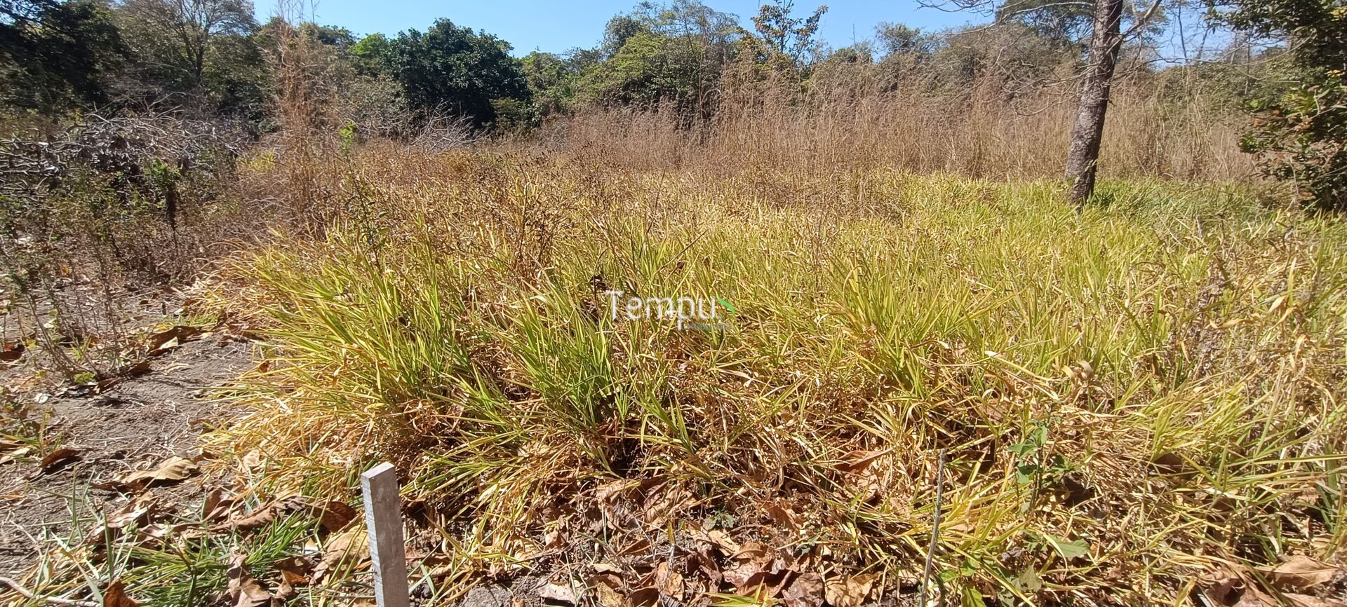 Chácara, 3 hectares - Foto 17