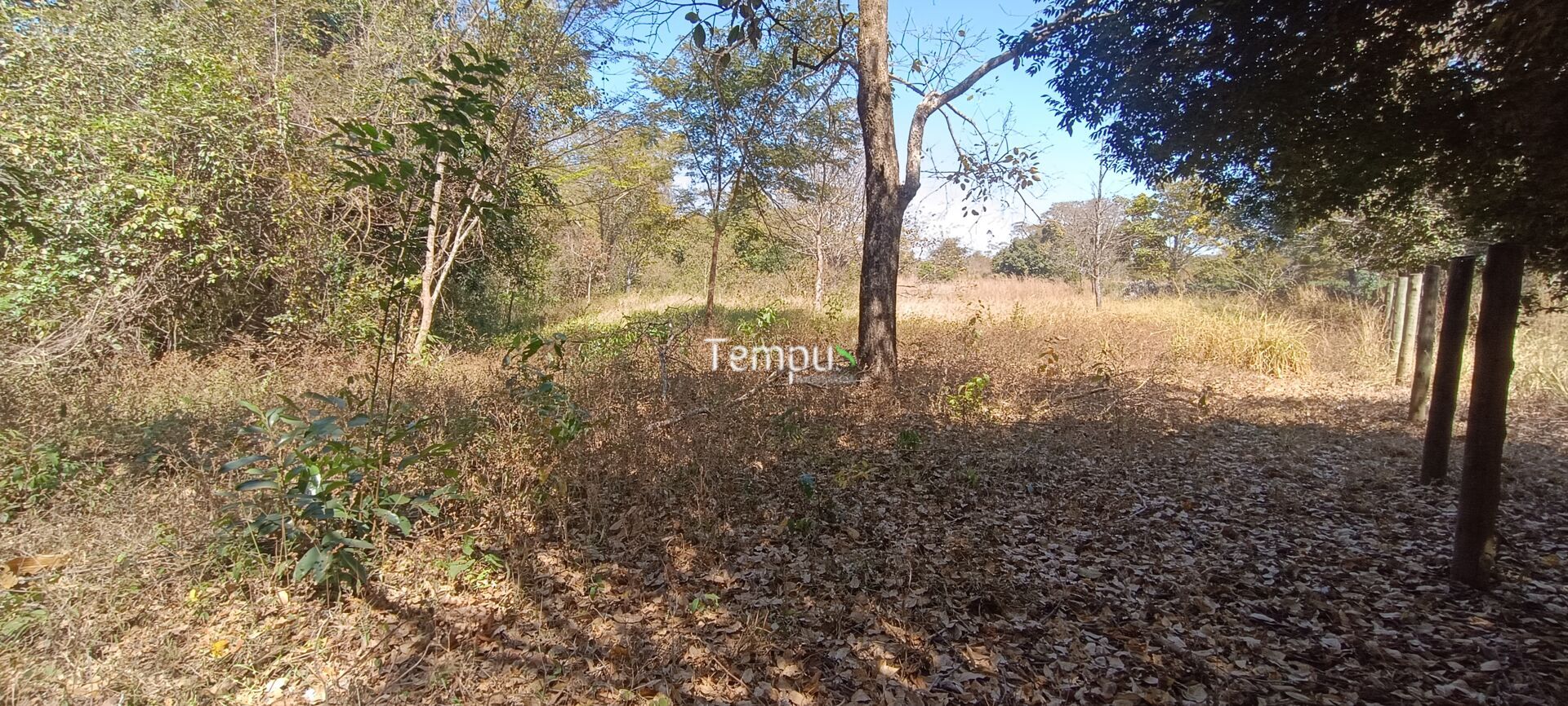 Chácara, 3 hectares - Foto 18