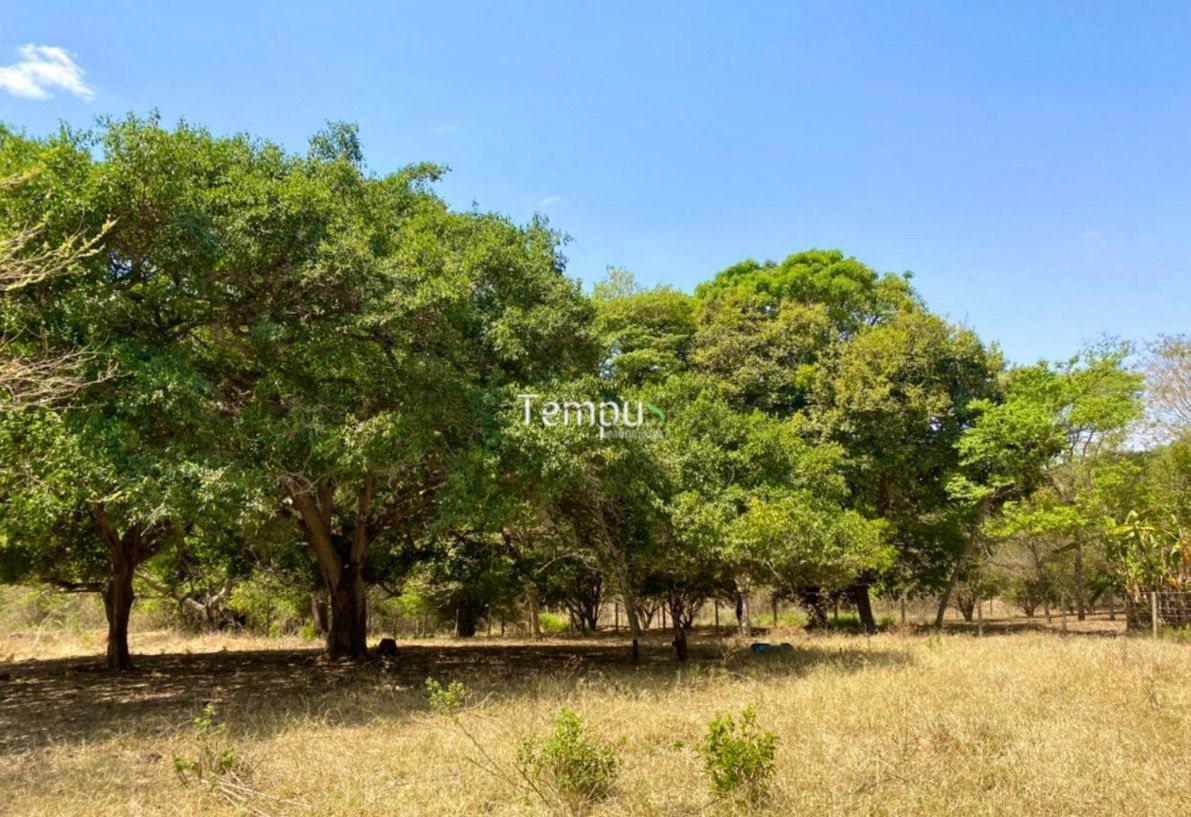 Chácara à venda, 27500m² - Foto 4