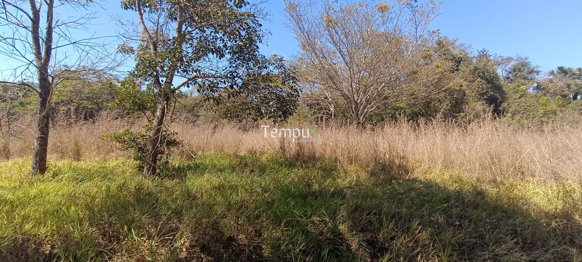 Chácara, 3 hectares - Foto 16