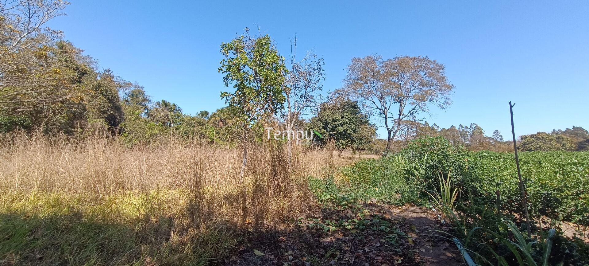 Chácara, 3 hectares - Foto 15