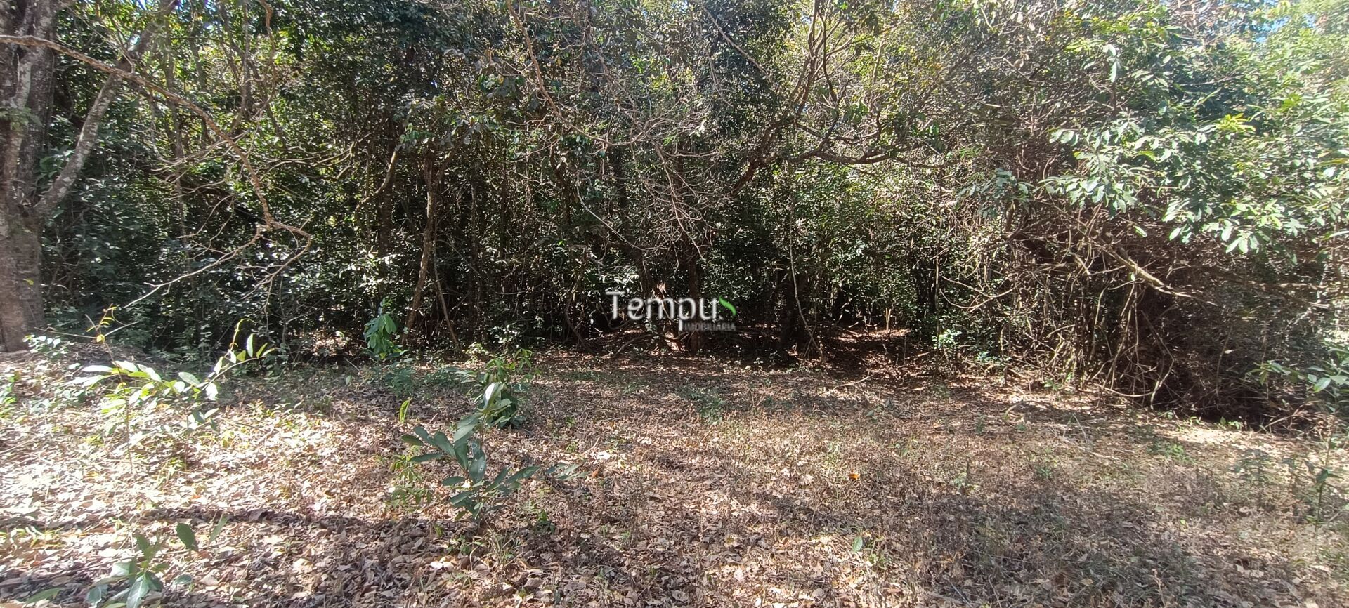 Chácara, 3 hectares - Foto 20