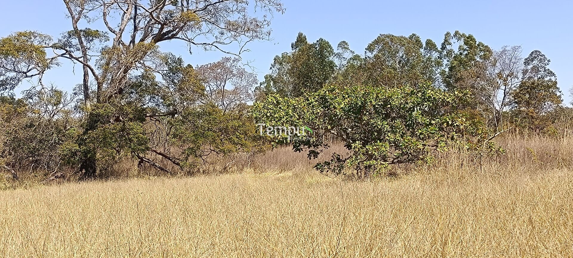Chácara, 3 hectares - Foto 38