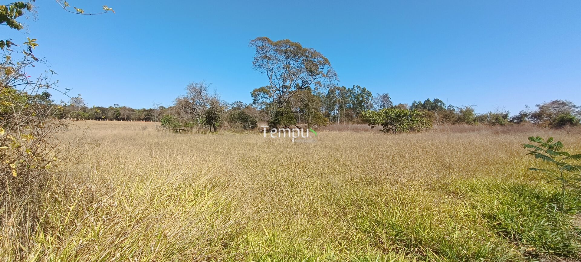Chácara, 3 hectares - Foto 11
