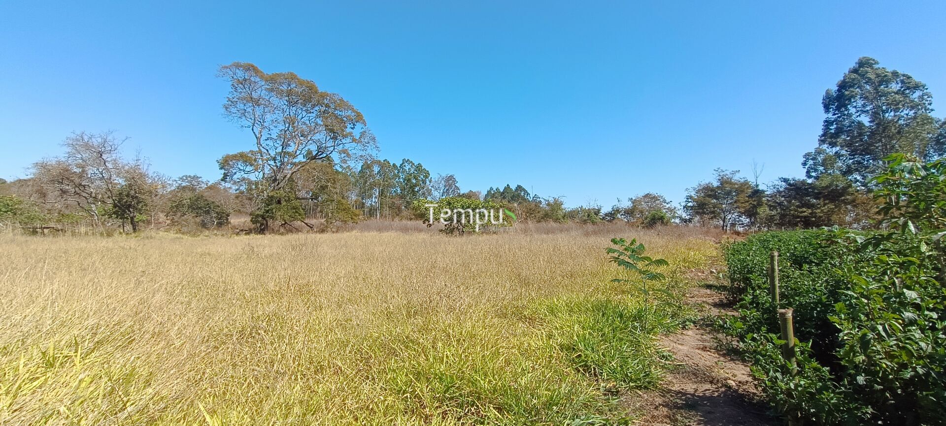 Chácara, 3 hectares - Foto 10