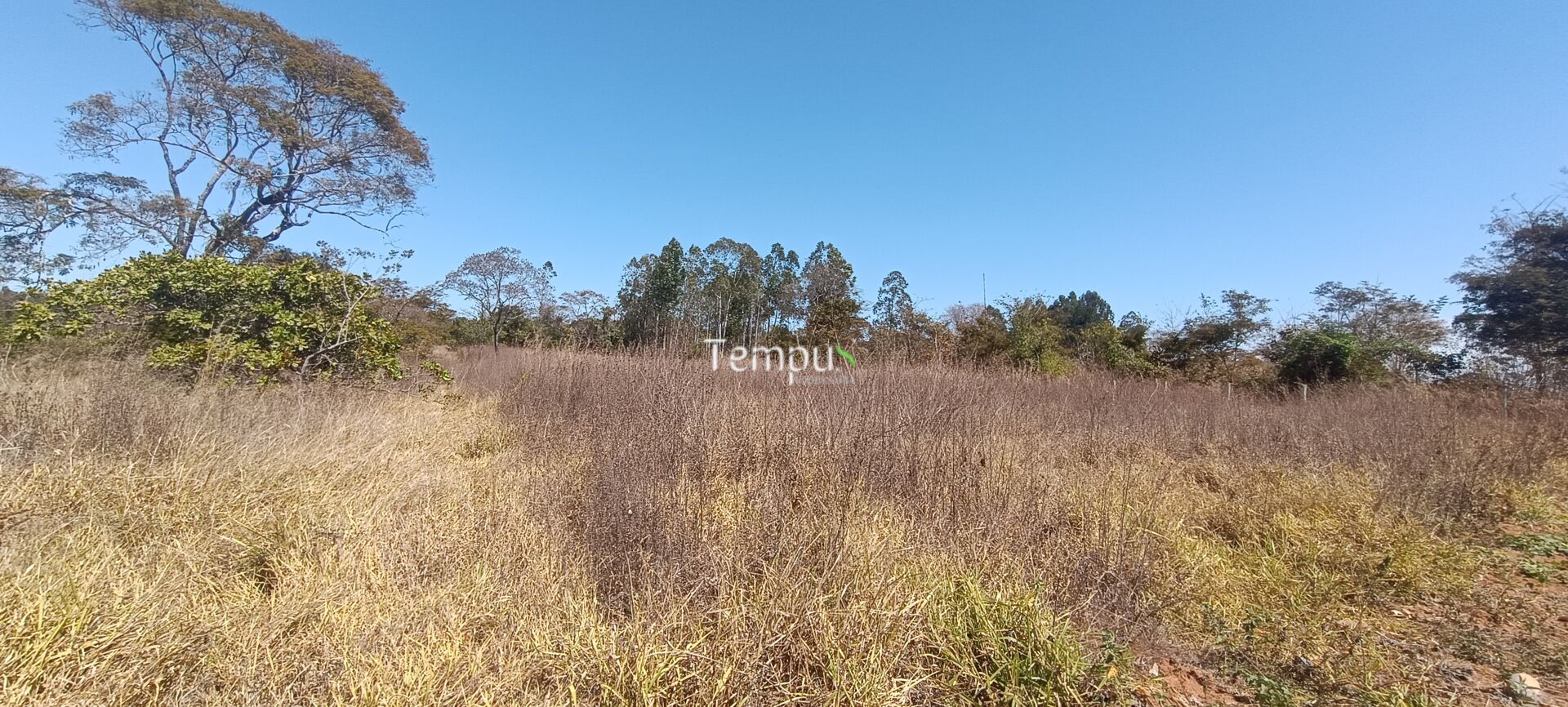 Chácara, 3 hectares - Foto 40