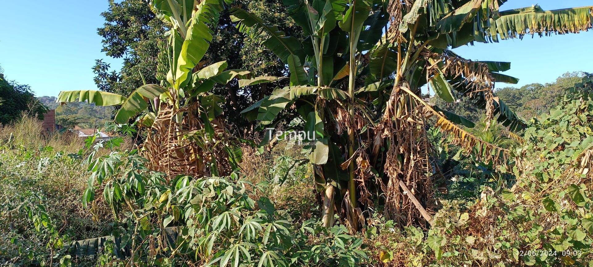 Terreno, 859 m² - Foto 5