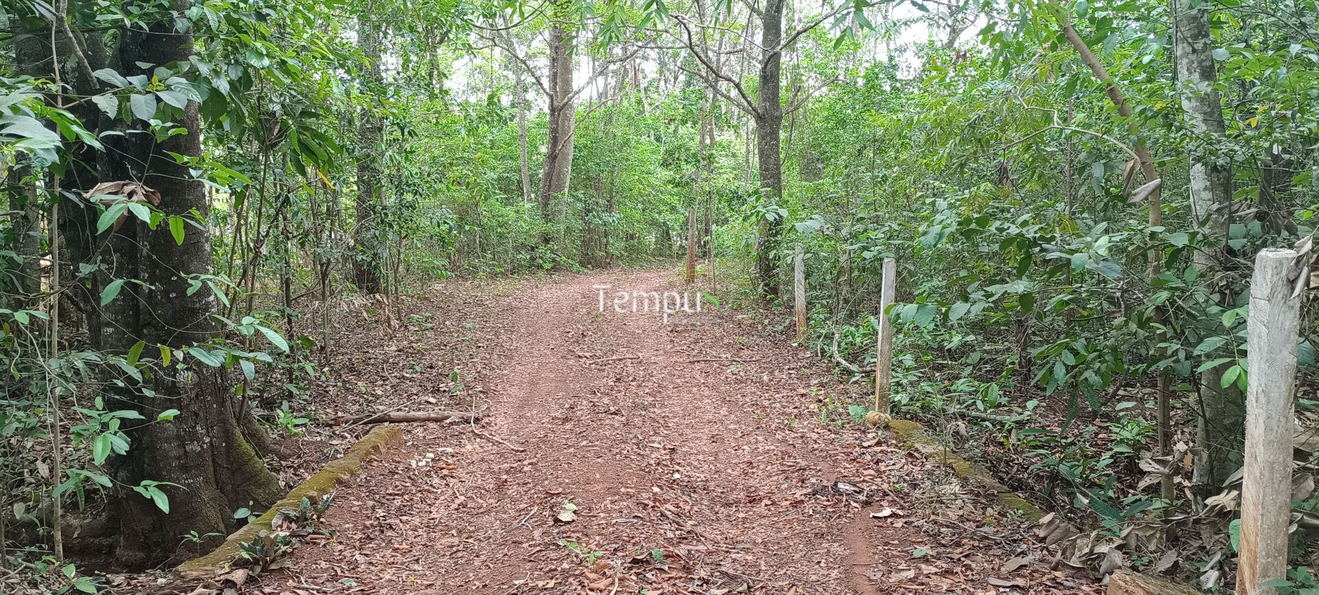 Chácara, 2 quartos, 4 hectares - Foto 35