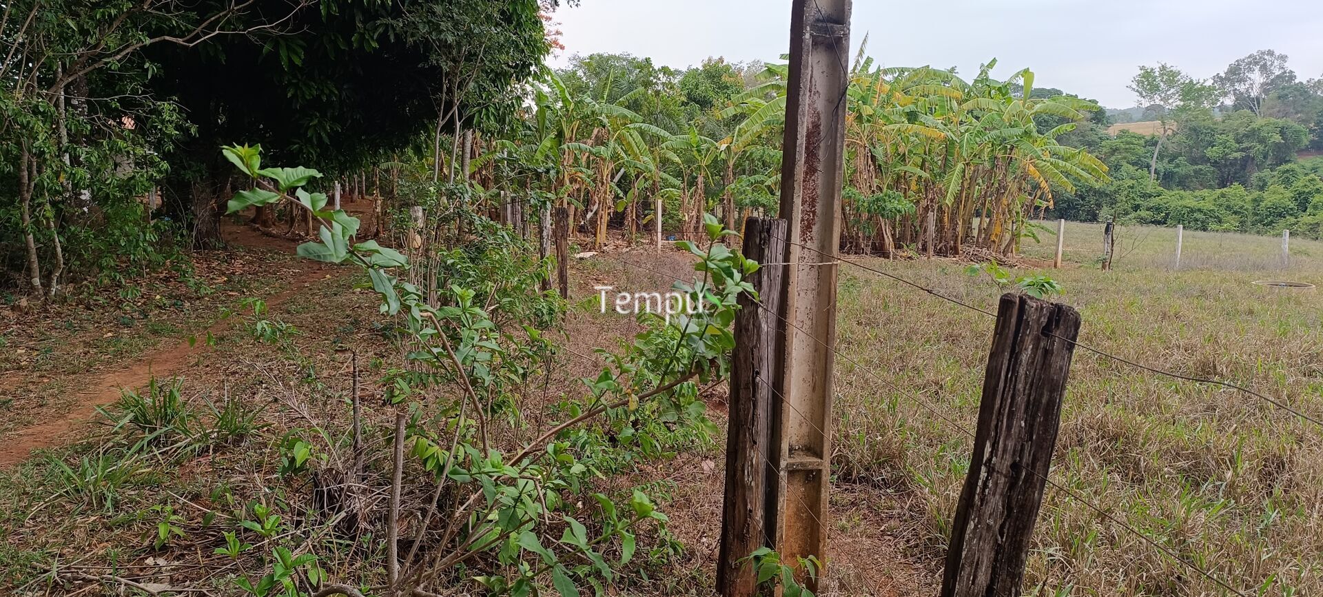 Chácara, 2 quartos, 4 hectares - Foto 31