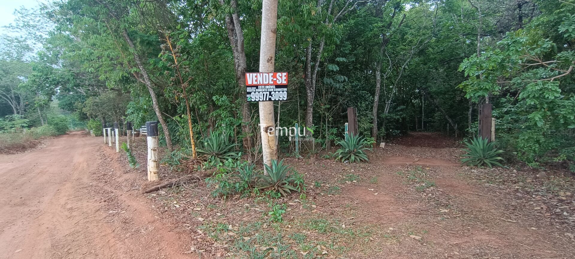 Chácara, 2 quartos, 4 hectares - Foto 44