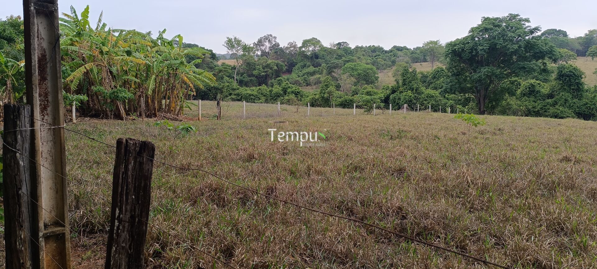 Chácara, 2 quartos, 4 hectares - Foto 32