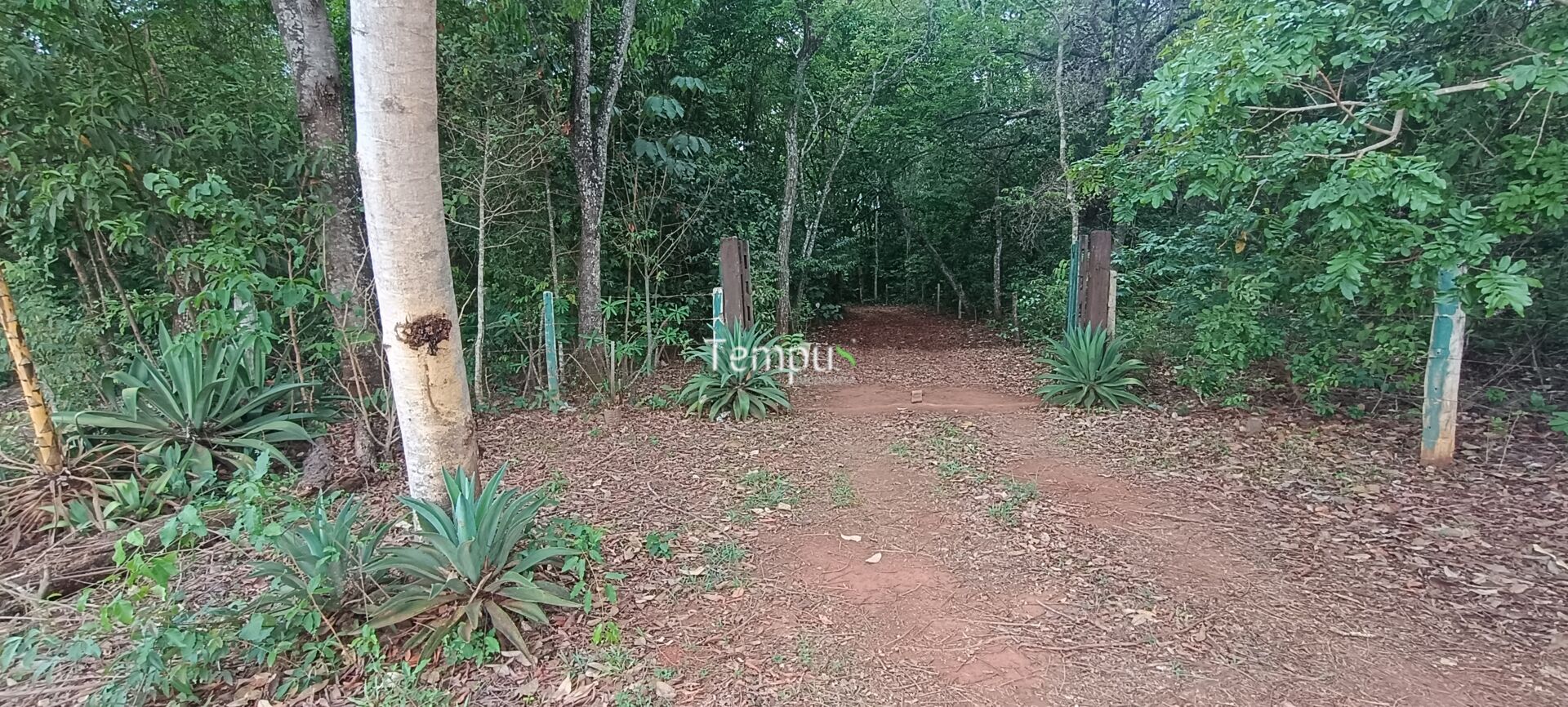 Chácara, 2 quartos, 4 hectares - Foto 42