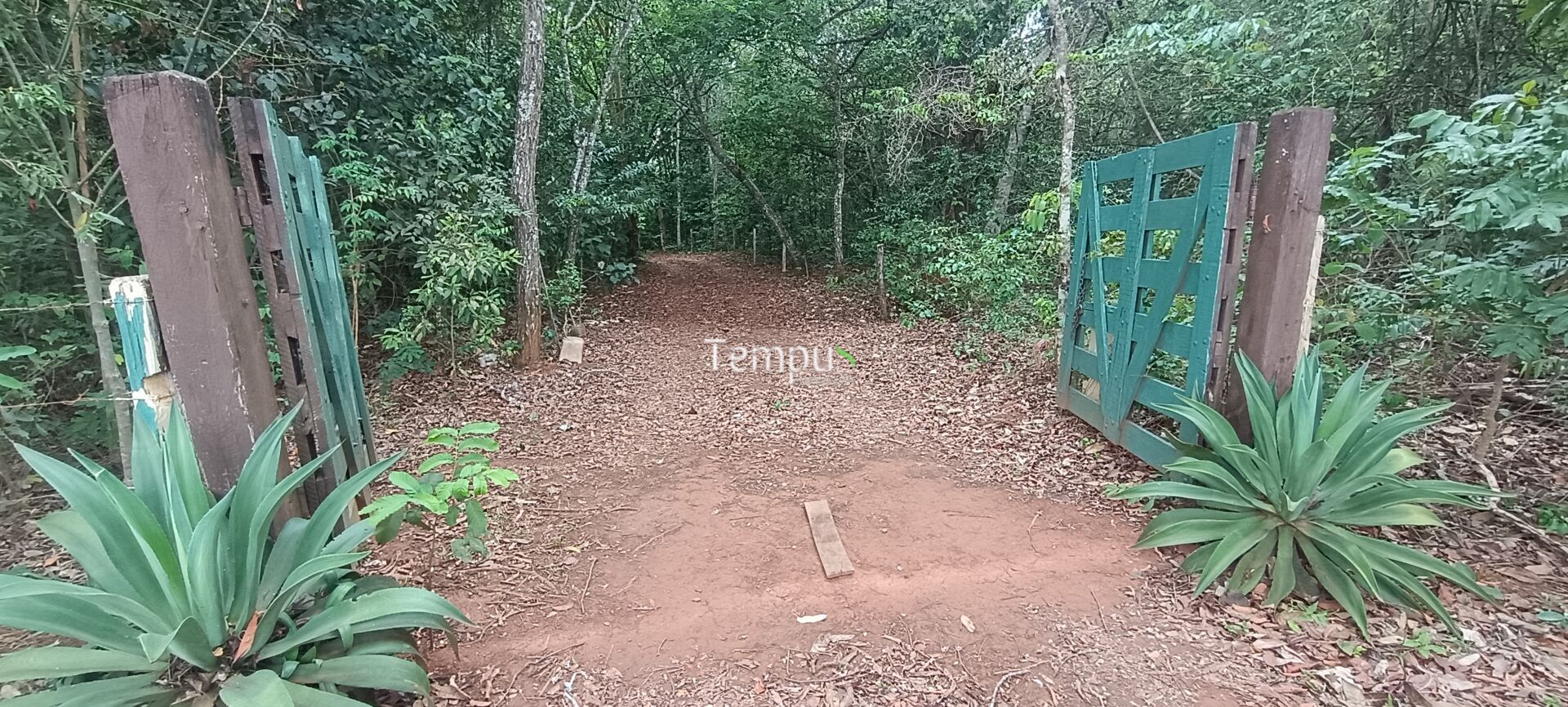 Chácara, 2 quartos, 4 hectares - Foto 19