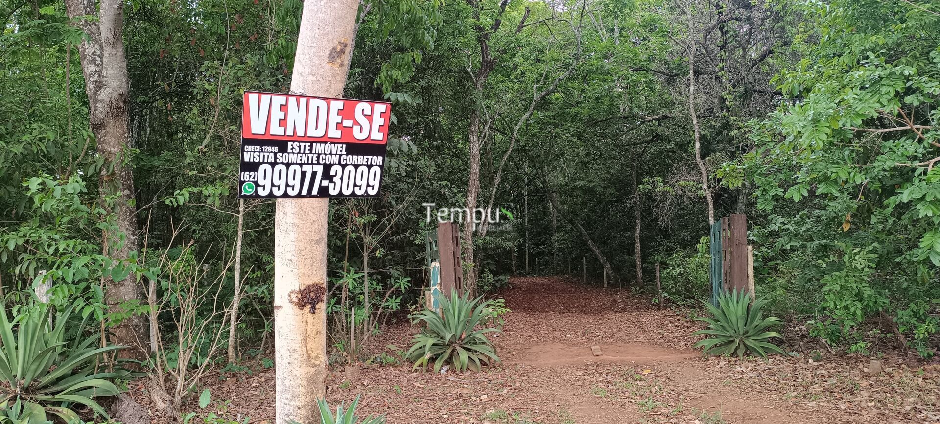 Chácara, 2 quartos, 4 hectares - Foto 43