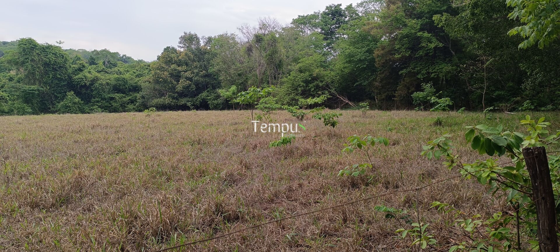 Chácara, 2 quartos, 4 hectares - Foto 29