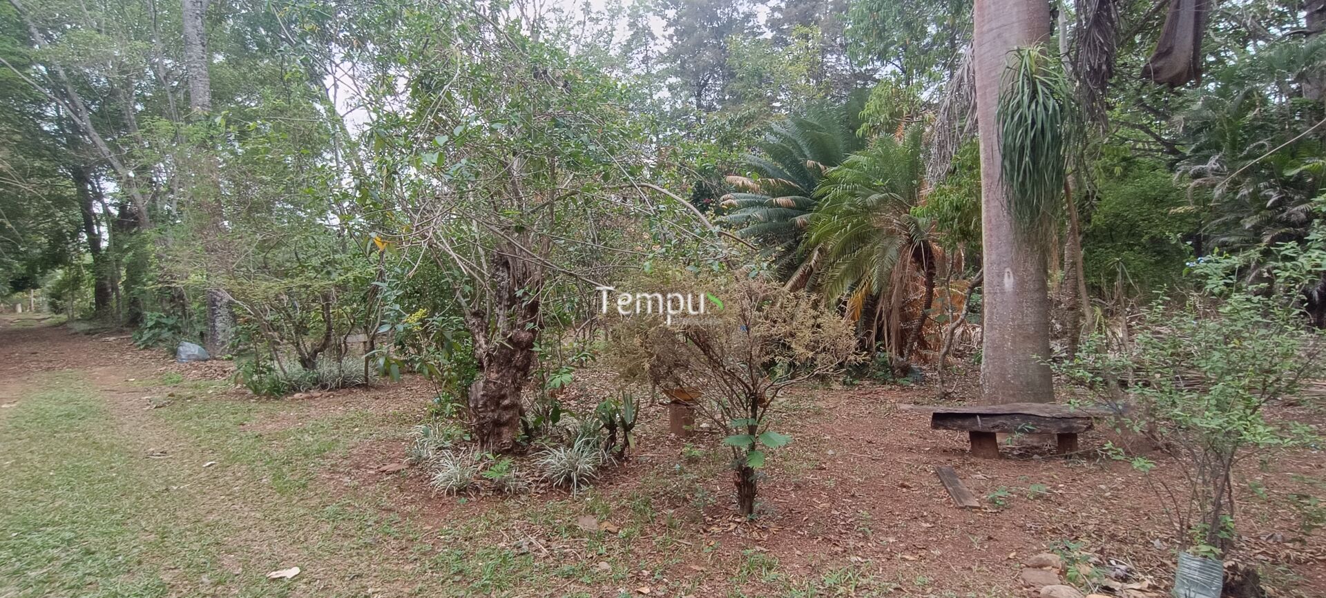 Chácara, 2 quartos, 4 hectares - Foto 21