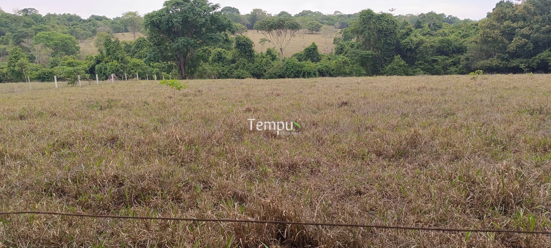 Chácara, 2 quartos, 4 hectares - Foto 30