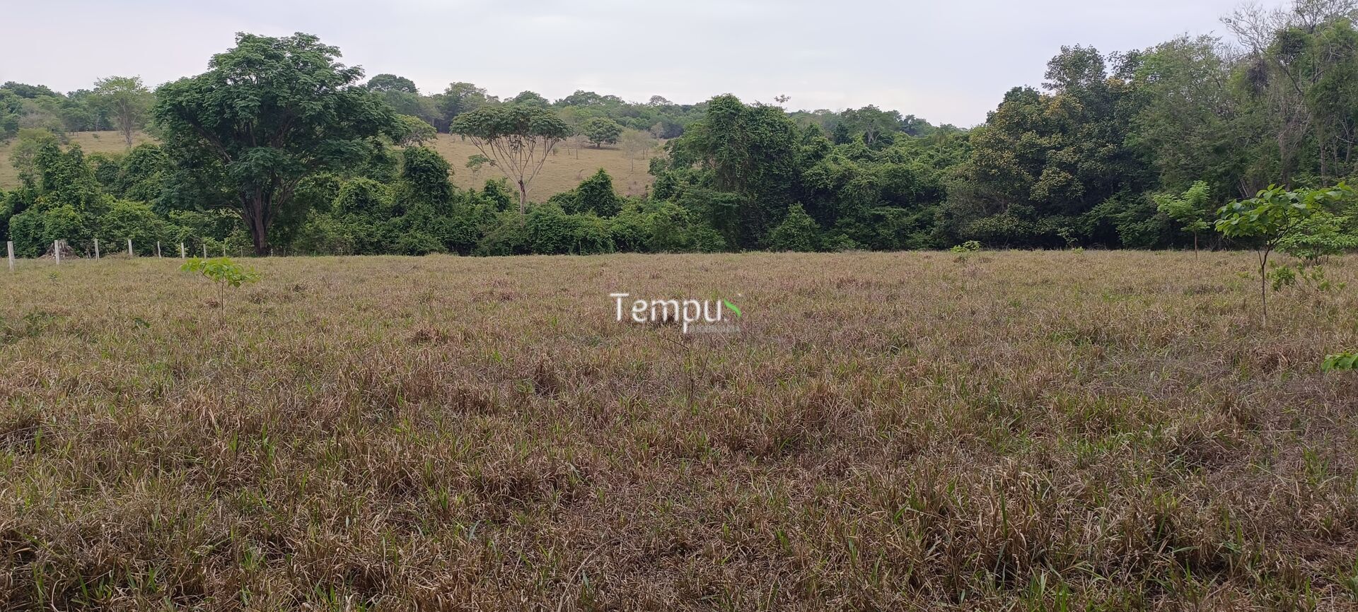 Chácara, 2 quartos, 4 hectares - Foto 33