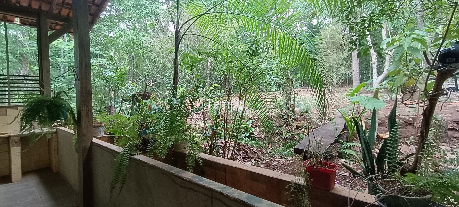 Chácara, 2 quartos, 4 hectares - Foto 15