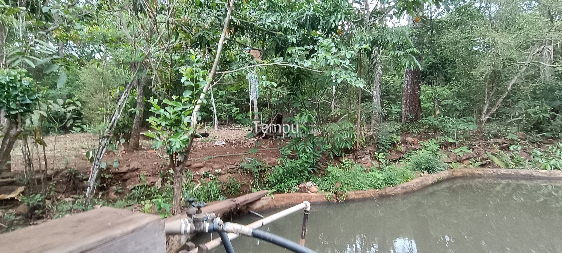 Chácara, 2 quartos, 4 hectares - Foto 25