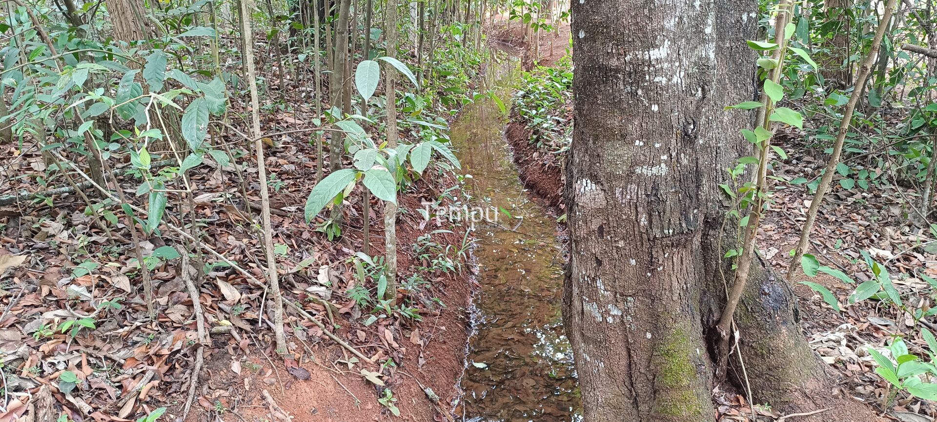 Chácara, 2 quartos, 4 hectares - Foto 38