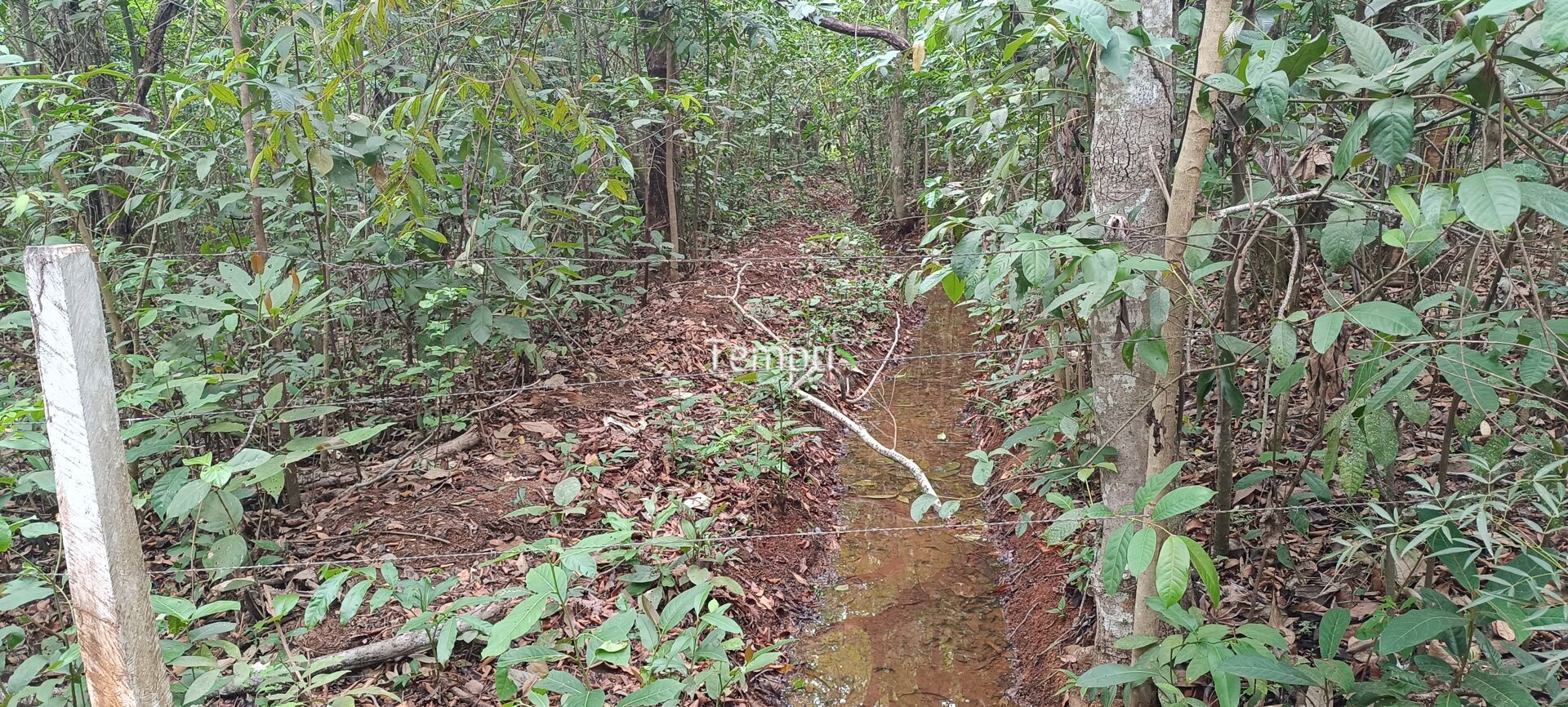 Chácara, 2 quartos, 4 hectares - Foto 37