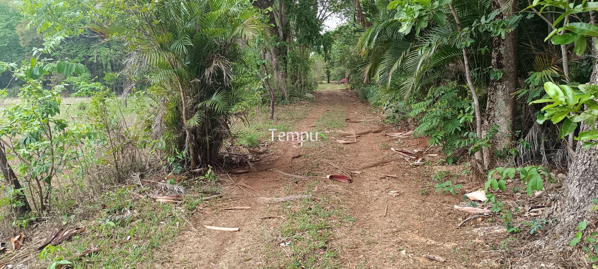 Chácara, 2 quartos, 4 hectares - Foto 28