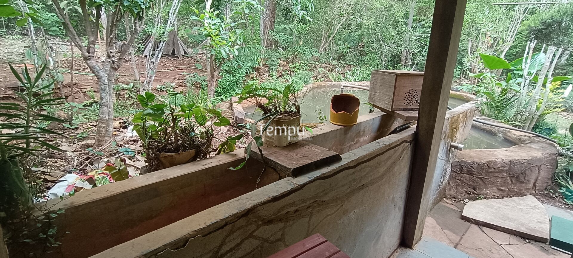 Chácara, 2 quartos, 4 hectares - Foto 14