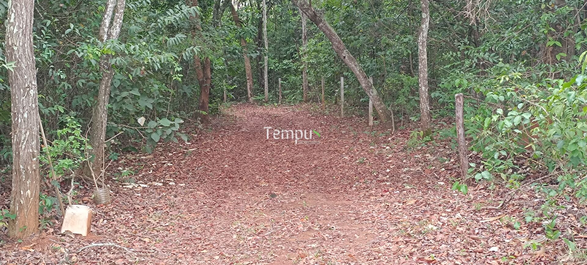 Chácara, 2 quartos, 4 hectares - Foto 40