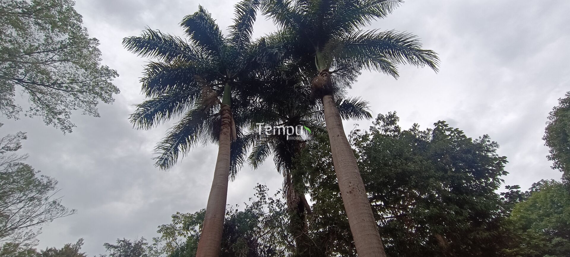 Chácara, 2 quartos, 4 hectares - Foto 22