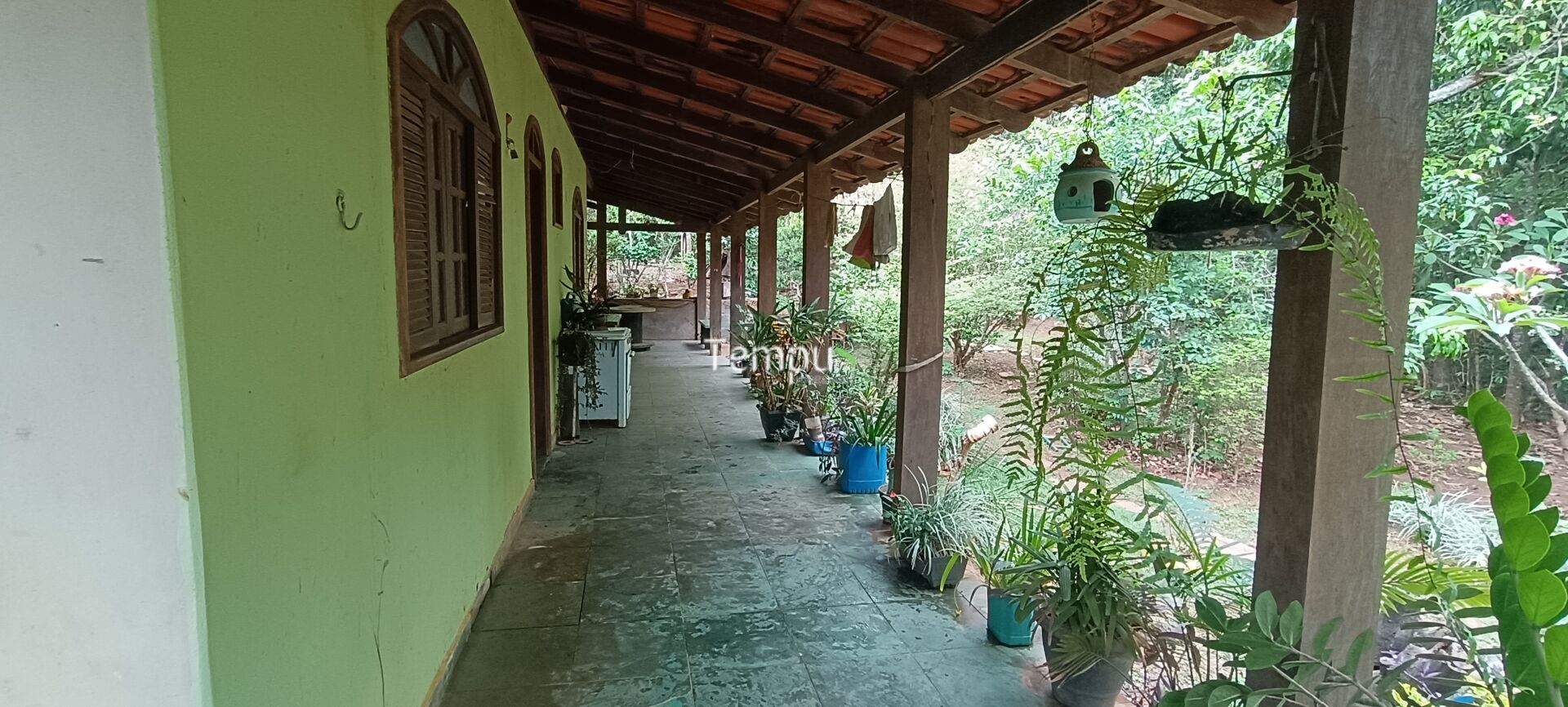 Chácara, 2 quartos, 4 hectares - Foto 13