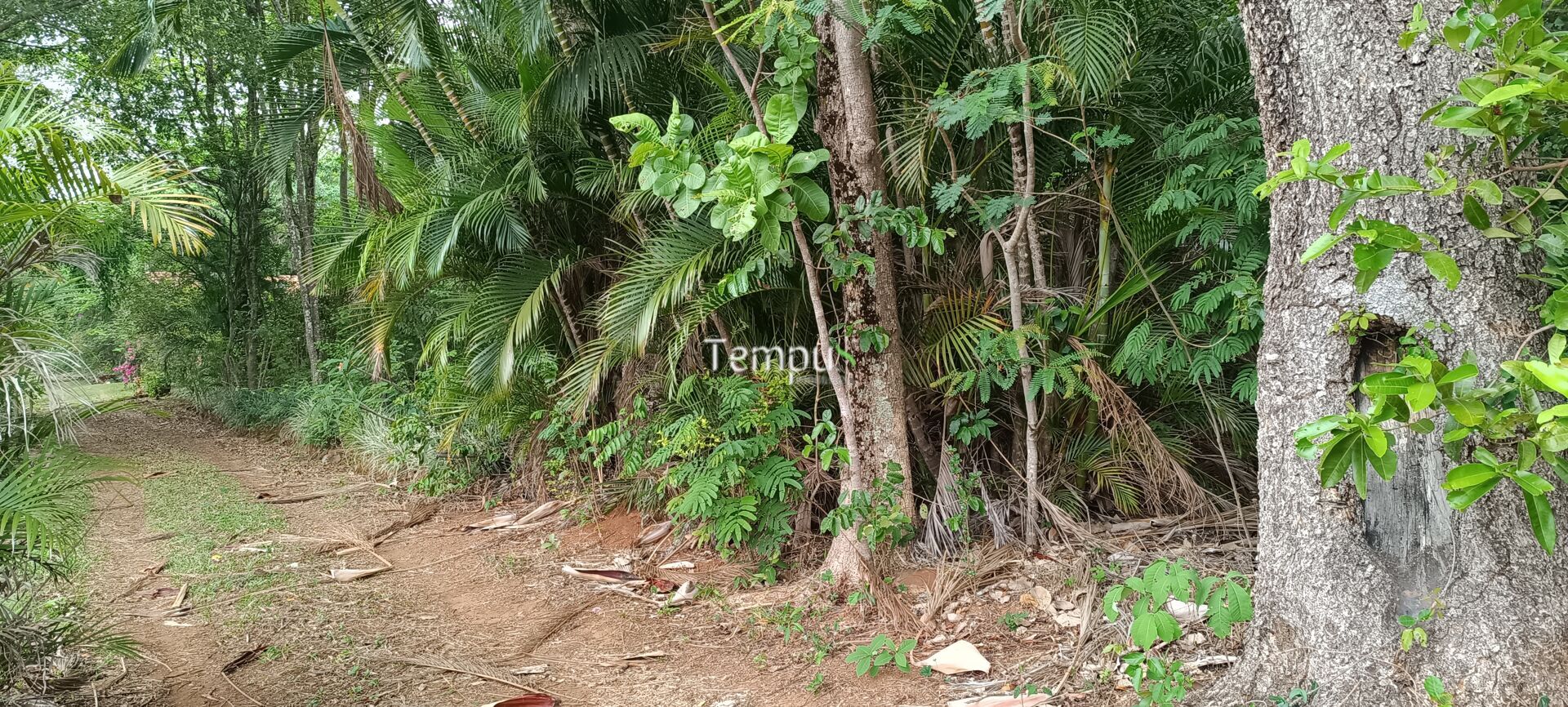 Chácara, 2 quartos, 4 hectares - Foto 34