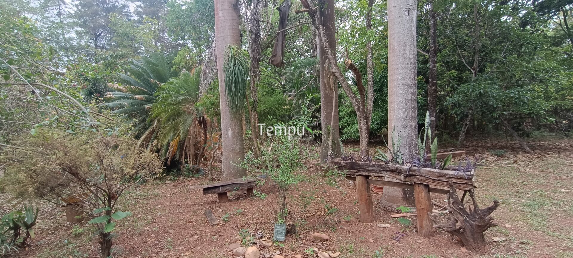 Chácara, 2 quartos, 4 hectares - Foto 20