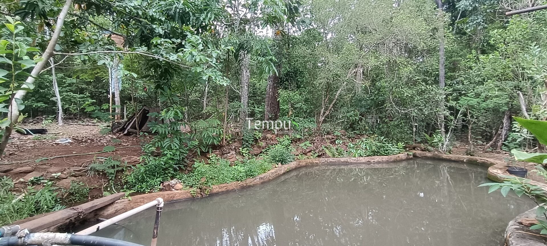 Chácara, 2 quartos, 4 hectares - Foto 16