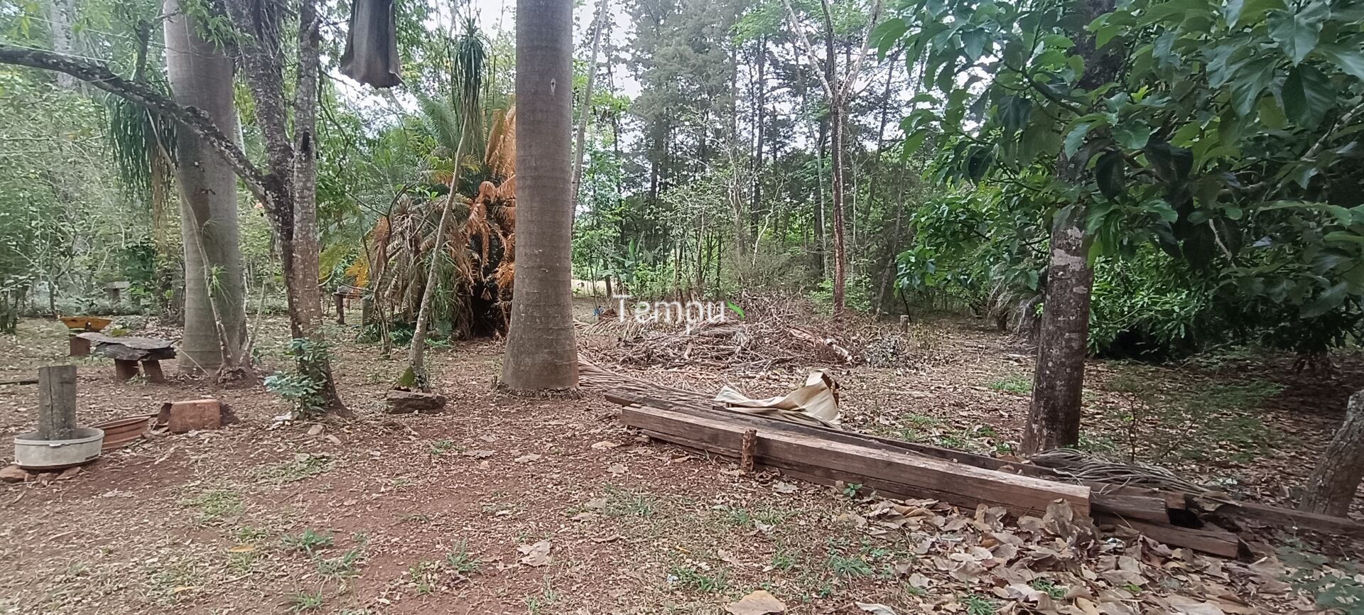 Chácara, 2 quartos, 4 hectares - Foto 27