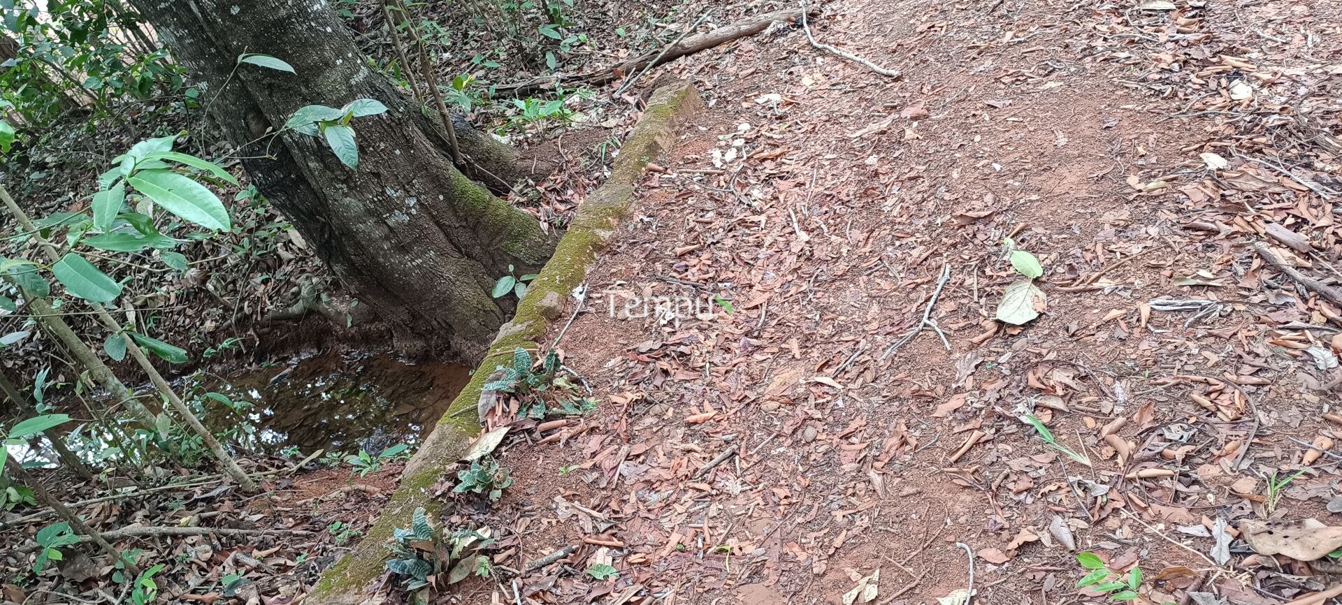 Chácara, 2 quartos, 4 hectares - Foto 36