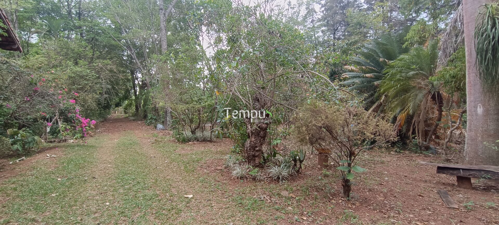 Chácara, 2 quartos, 4 hectares - Foto 18