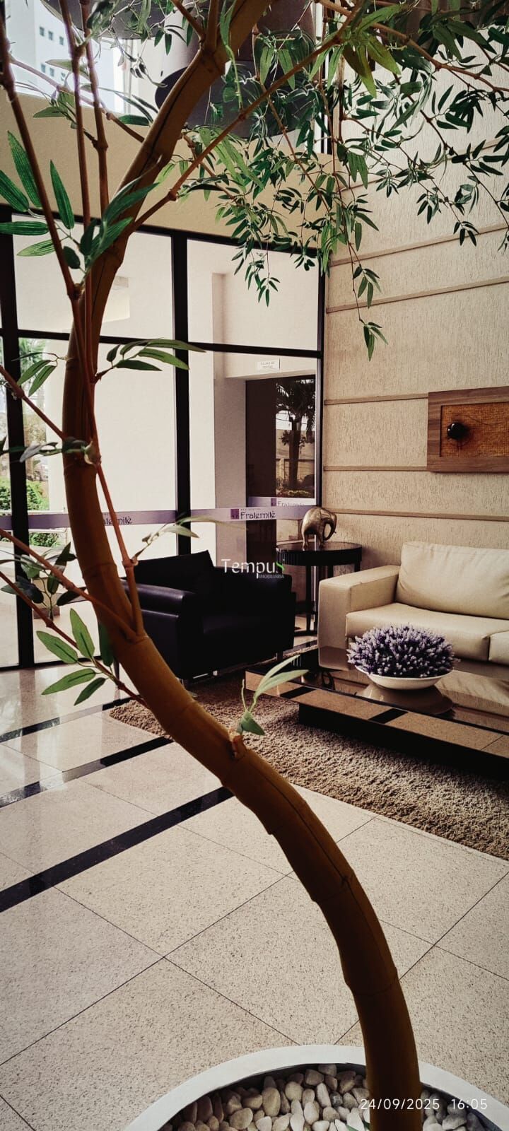 Apartamento, 3 quartos, 100 m² - Foto 5