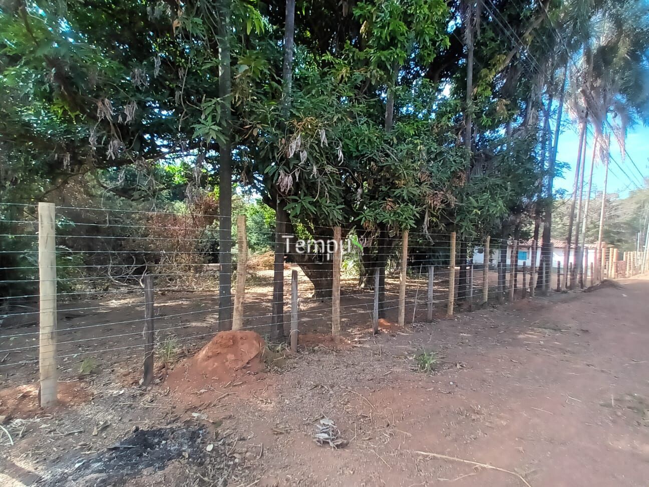 Fazenda à venda, 6915m² - Foto 3