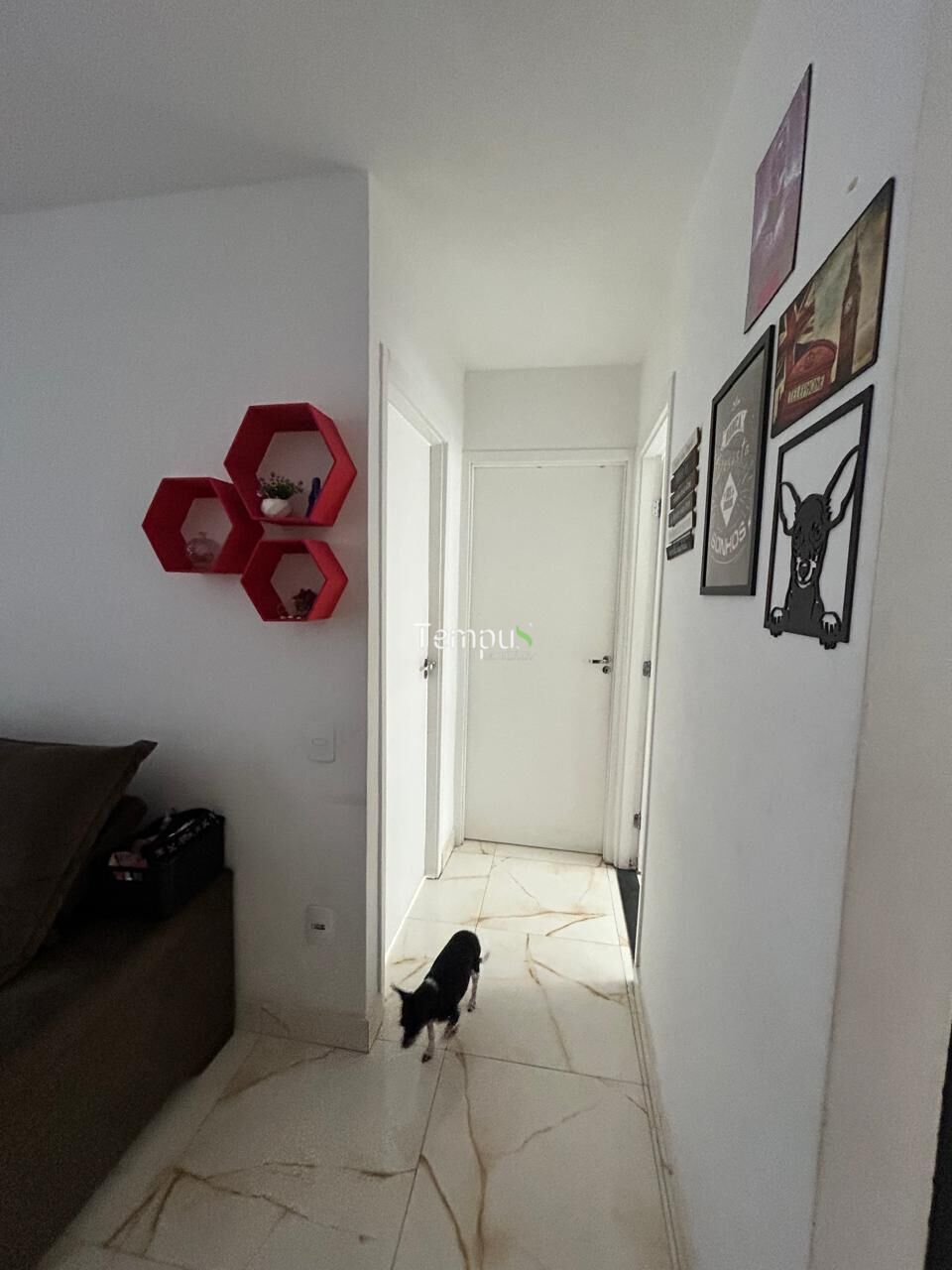 Apartamento à venda com 2 quartos, 56m² - Foto 7